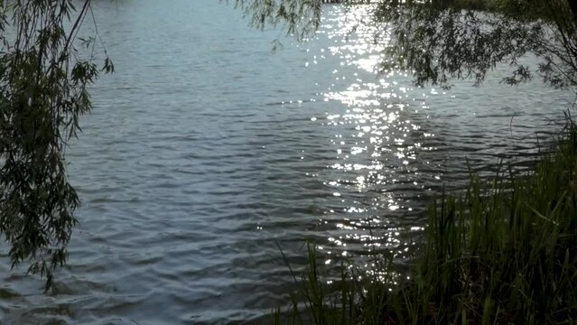 Reflection of the sun on the water surface of a summer lake