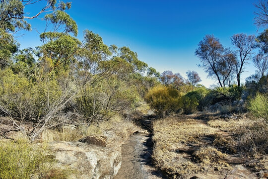 Water catchment channel hewn out in granite at in the Western Australian outback. Boondy Rock, Goldfields Woodlands National Park, Western Australia
