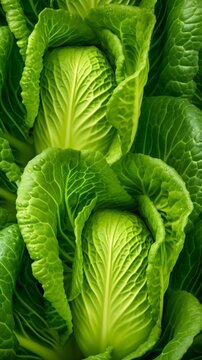 Fresh pekines cabbage seamless background. Top view, close up, AI generated