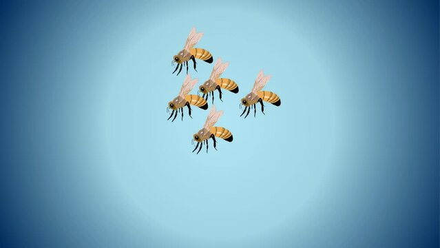 honey bee flying bees hornets