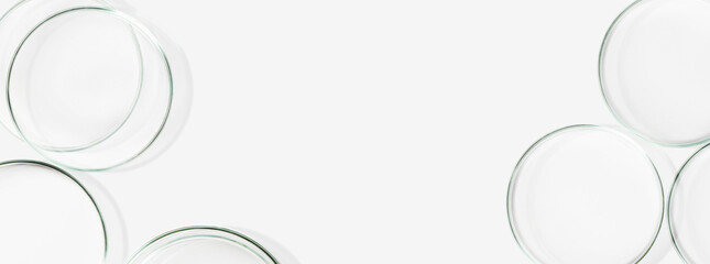 Petri dishes, flasks, test tubes. On a light background. Laboratory. Banner. empty space for advertising