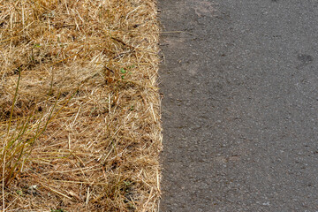 Close-up top view of yellowish dry wild grass next to an asphalt rural road, summer heatwave hitting Europe, effect on environment from climate change