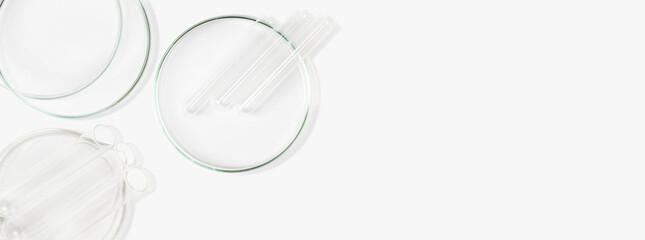 Petri dishes, flasks, test tubes. On a light background. Laboratory. Banner. empty space for advertising