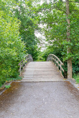 Arch bridge over a stream, arched platform of wooden planks, abundant leafy trees with foliage in...