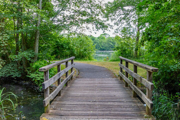 Obraz premium Small rustic footbridge over a stream, wooden plank platform, abundant green leafy trees and Echternach lake in background, sunny summer day in Luxembourg
