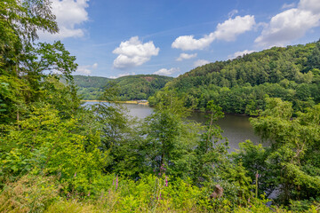 Fototapeta premium View of Stausee Bitburg lake among green foliage of wild plants and trees, mountains with abundant leafy trees in background, sunny summer day with blue sky and white clouds in Germany