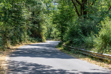 Empty asphalt rural road among abundant wild vegetation and green leafy trees, fading into background, illuminated by sunlight and reflecting shadows, sunny summer day in Utscheid, Germany