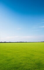 Fototapeta na wymiar empty field wallpaper. green field and blue sky. wallpaper. background. Illustration. Generative AI.