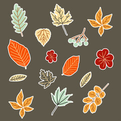 Autumn various isolated leaves set pattern stickers in blue, orange, gray, red colors in outline art on gray background for packaging, webs, banners, fabric