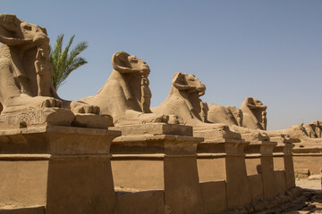 Ram statues siding the large road to the entrance of Karnak temple compound