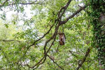 Wooden birdhouse on one tree. Wooden bird house