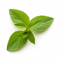 sweet basil, thai basil, Ocimum basilicum, ai generated