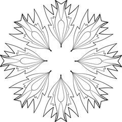 Circular mandala pattern. Decorative doodle ornament in ethnic style.