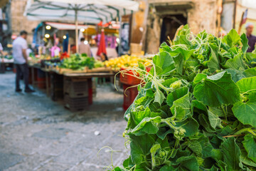 Tenerumi, leaves and tender shoots of the long squash plant cucuzza on Palermo market