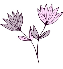 illustration of pink flower
