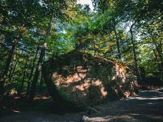 Large Boulder at Flume Gorge, New Hampshire, USA.