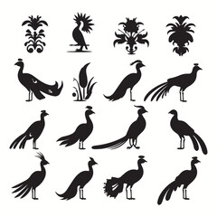 Quetzal silhouettes and icons. Black flat color simple elegant Quetzal animal vector and illustration.