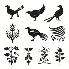 Quetzal silhouettes and icons. Black flat color simple elegant Quetzal animal vector and illustration.