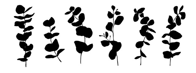 Ecalyptus tree branches silhouette set. Vector graphics.