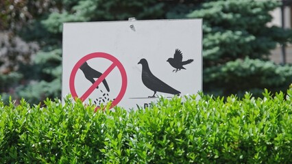 Bird Feeding Prohibited Sign Mounted in City Park