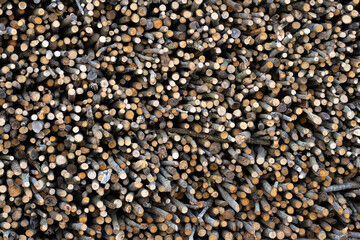 woods stacked for burning in bread oven