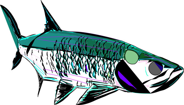 A modern comic like full colored Tarpon fish 