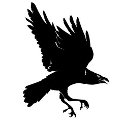 crows - obrazy, fototapety, plakaty