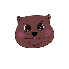 Fat face brown cat on white background
