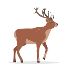 Naklejka na ściany i meble Deer icon. Horny deer, fawn, spotted reindeer. Wild forest animal of Europe, America and Scandinavia with big horns. Flat vector illustration isolated on white background.