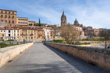 Fototapeta na wymiar Roman Bridge and Salamanca Cathedral - Salamanca, Spain