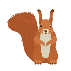Squirrel icon. Wild mammal forest animal character. Red Squirrel with fluffy tail. Vector illustration on white background.