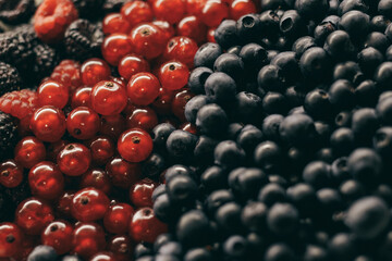 Close-up of red and black raspberries, blueberries and red currants berries. Selective focus, macro shot.