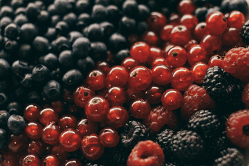 Close-up of red and black raspberries, blueberries and red currants berries. Selective focus, macro shot.