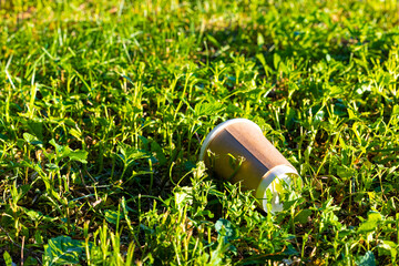 a paper cup lies in the green grass