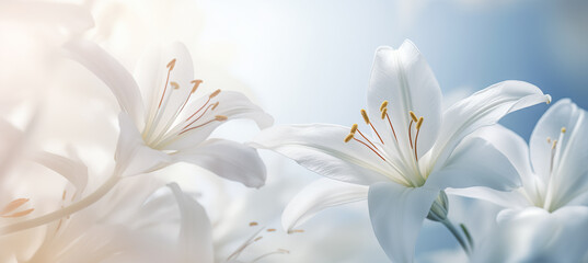 Beautiful white lilies on light background, symbol of gentleness, purity and virtue. closeup, digital ai