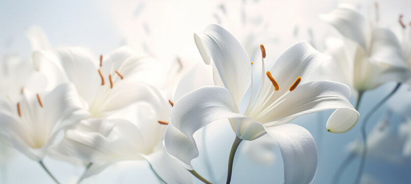 Beautiful white lilies on light background, symbol of gentleness, purity and virtue. closeup, digital ai