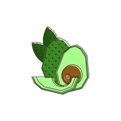Illustration group set of green and fresh avocado