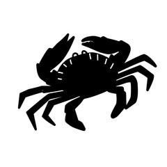 Sea animal silhouette 