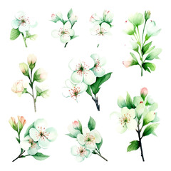 green cherry blossom flowers set