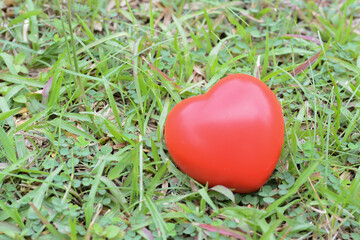 World Environment Day: Love heart represents circular economy, renewable energy, sustainable...