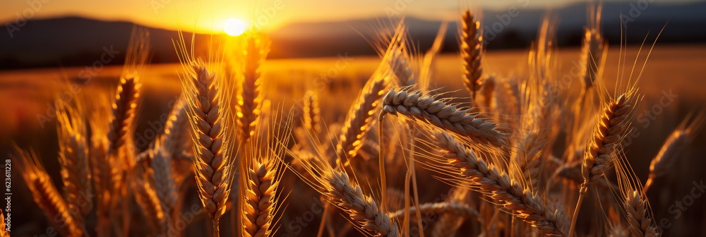 Poster a field of wheat with the sun setting in the background. generative ai.