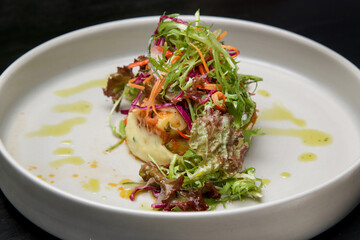Exquisite dish, creative restaurant meal concept, fine dining food