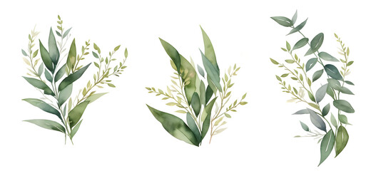 Fototapeta premium Watercolor green leaf branches collection for wedding and greetings on transparent background,generative ai