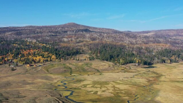 Aerial sunny view of the beautiful fall color around Dixie National Forest