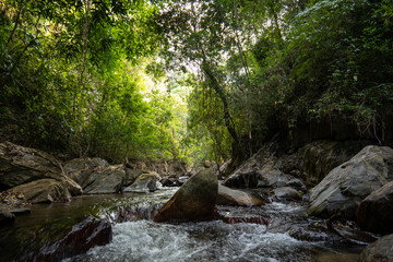 Fototapeta premium Dark Minca River with Rock, Rapids and Covered by Lush Sub Tropical Vegetation