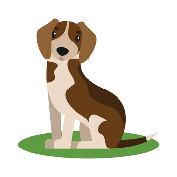 Cute dog mascot icon vector illustration design graphic flat style front view
