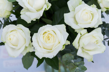Fototapeta na wymiar Flowers, bouquet of flowers, close-up high resolution, a gift