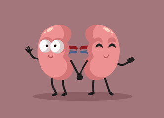 Happy Kidneys Holding Hands Vector Cartoon Characters. Cheerful internal organs having perfect health and function
