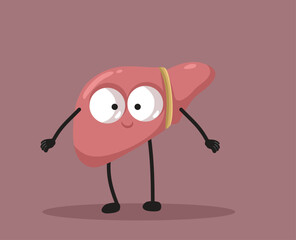 Happy Liver Cartoon Mascot Character in Vector Style. Cheerful internal organ smiling having fun
