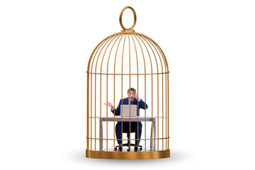 Businessman caught in the cage